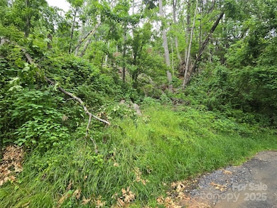 89 Weeping Cherry Forest Rd, Fairview, NC 28730 - photo 4