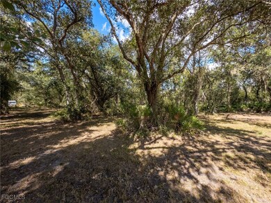 8355 SW Prairie Ave, Arcadia, FL 34269 - photo 4