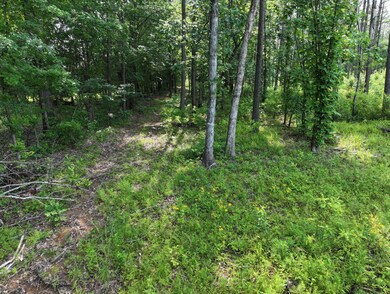 0 Mississippi 46 unit 25-1215, Mantee, MS 39751 - photo 5