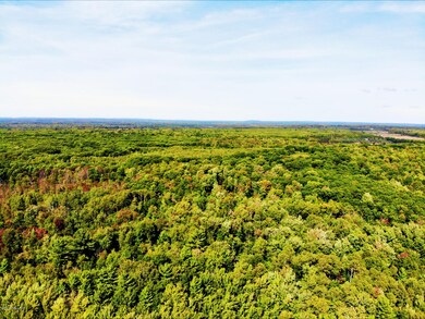 DJI_0386