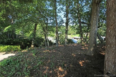 Path Leading to the Pier & Boathouse