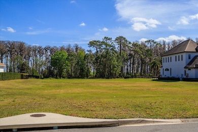 6161 Grosvenor Shore Dr, Windermere, FL 34786 - photo 2