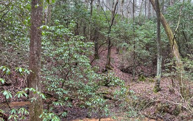 Additional View