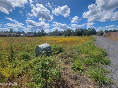 2277 Meadow Ln, Overgaard, AZ 85933 - photo 6
