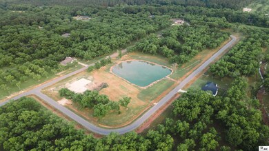 123 Aidan Ln, Sterlington, LA 71203 - photo 2