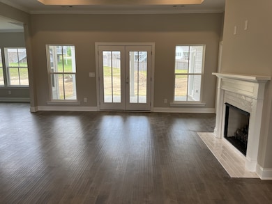 7332 Dutch River Cir, Fairview, TN 37062 - photo 3