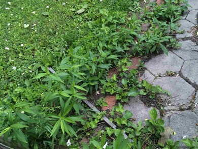 10 S Franklin St, Athens, NY 12015 - photo 4