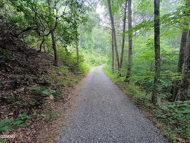 0 Rivendell Ln unit 307703, Coker Creek, TN 37385 - photo 4