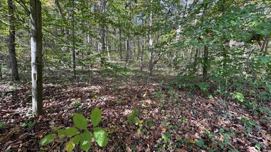 5139 Peggy Hollow Rd, Shoals, IN 47581 - photo 5