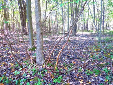 VL Traxler Rd, Dorset, OH 44032 - photo 5