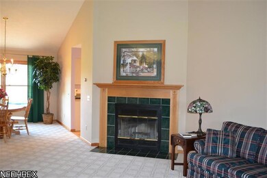 Gas Fireplace In Living Room