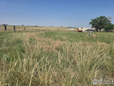 7926 County Road P 2, Wiggins, CO 80654 - photo 3