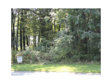 Other. View from Butternut