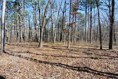 0 Pp Hwy unit 3 19028457, Poplar Bluff, MO 63901 - photo 5