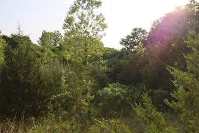large trees all over property