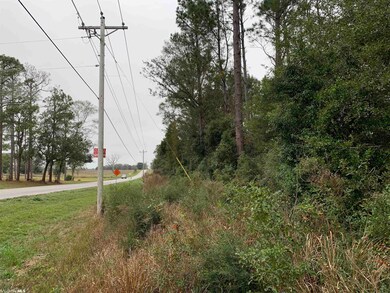 36587 County Road 87 unit 87, Robertsdale, AL 36567 - photo 3