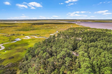 135 Blackbeard Ct, Townsend, GA 31331 - photo 3