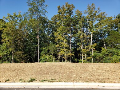 36 Kilner Goodlet Ct, Mount Washington, KY 40047 - photo 2