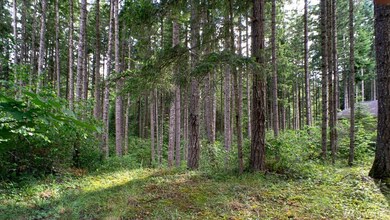 18435 Blue Hills Loop SE, Yelm, WA 98597 - photo 4