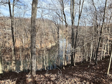 0 Hidden River Rd unit RTC3050284, Rock Island, TN 38581 - photo 7