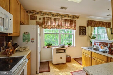 2606 Chapel Lake Dr unit 310, Gambrills, MD 21054 - photo 5