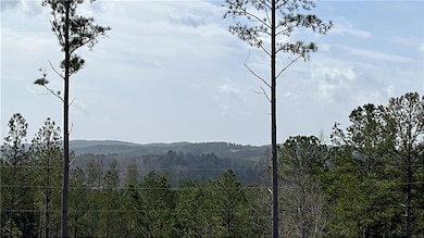 LT 123 Blalock Mountain Rd, Talking Rock, GA 30175 - photo 3