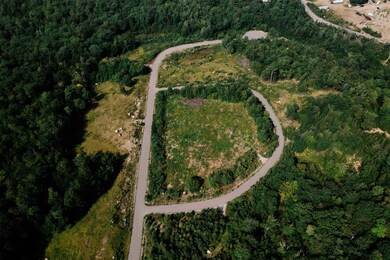 Lot #10 Chocorua View Estates, Albany, NH 03818 - photo 2