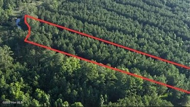 137 Cutter Bay, Stonewall, NC 28583 - photo 4