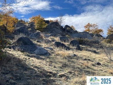 0000 Honey View Ln, Janesville, CA 96114 - photo 4