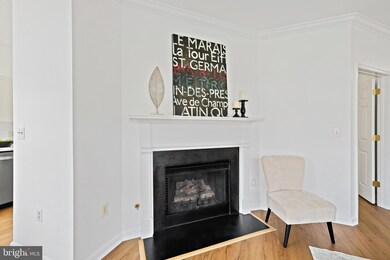 4550 Strutfield Ln unit 2325, Alexandria, VA 22311 - photo 5