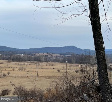 TBD Hummingbird Ln, Capon Bridge, WV 26711 - photo 2