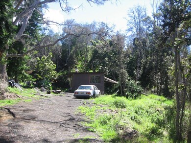 Looking toward cabin on driveway.