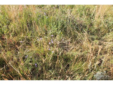 0 Davis Ranch Rd unit 856846, Bellvue, CO 80512 - photo 7