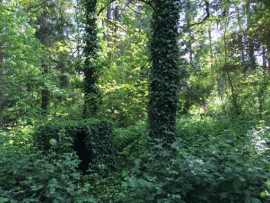 5276 W Sunset Dr, Lake Oswego, OR 97035 - photo 5