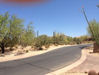 photo (12)