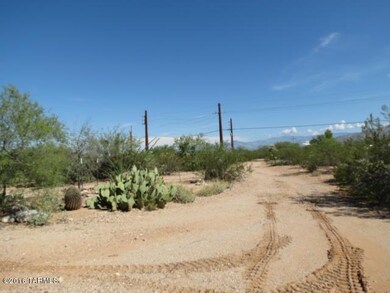 Front Yard View 3