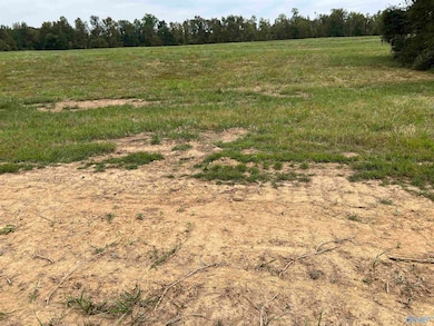 21512 Holland Rd, Athens, AL 35614 - photo 2