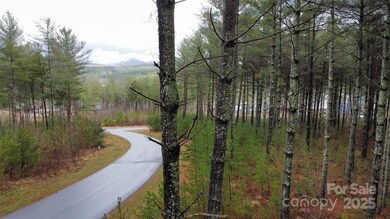 26 Peninsula Reserve Rd unit 26, Nebo, NC 28761 - photo 3