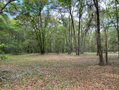 Lot 401 Blackberry Ln NE, Shellman Bluff, GA 31331 - photo 2