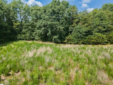 0 Cooley Springs Shchool Rd unit 1560360, Chesnee, SC 29323 - photo 5