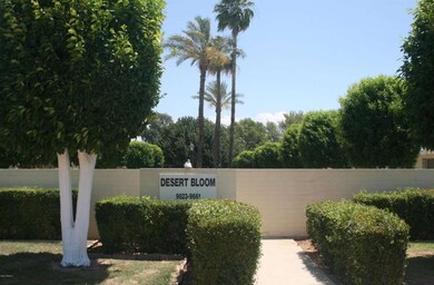 Desert Bloom