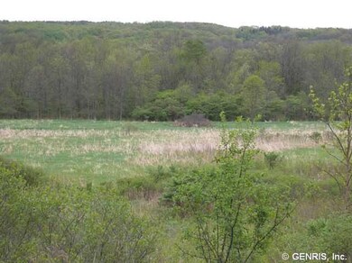 Land/Lot. This level area is at the easterly end o