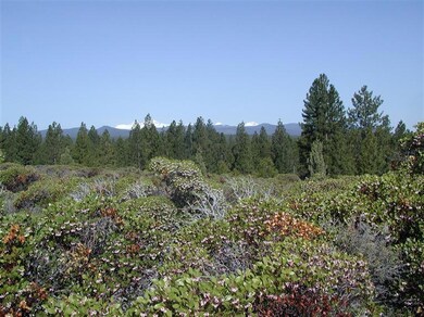 23 Shoshone Rd, Bend, OR 97702 - photo 7