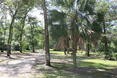 17 Havens Way, Crawfordville, FL 32327 - photo 5