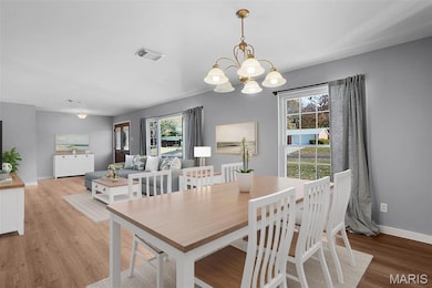 1019 Orchard Lakes Dr, Saint Louis, MO 63146 - photo 6