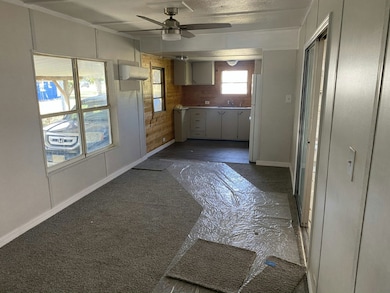 13 Eustis Rd unit 81, Mount Dora, FL 32757 - photo 2