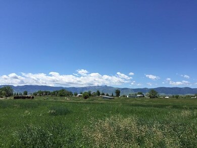 IMG_2009