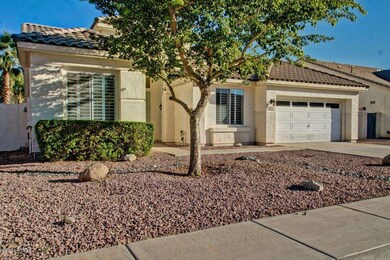 Easy-care Desert Landscape