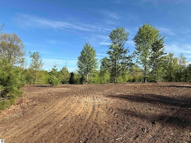 1029 E Solaris Way, Maple City, MI 49664 - photo 2