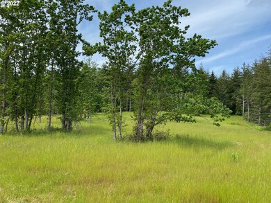 0 Business 18b Hwy unit 22447435, Willamina, OR 97396 - photo 4